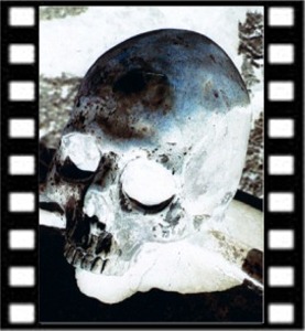 it naples skull bald neg.jpg